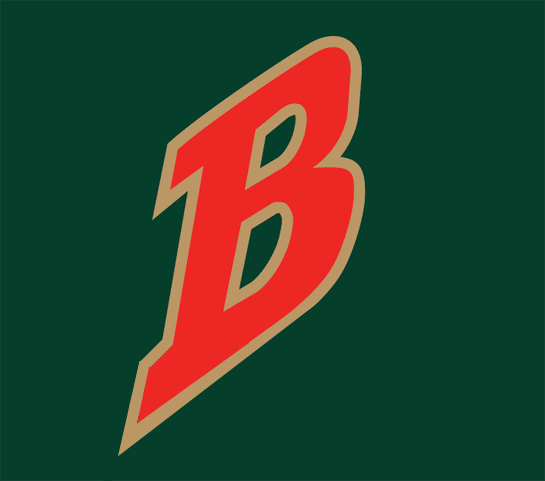Buffalo Bisons 1998-2003 Cap Logo iron on heat transfer